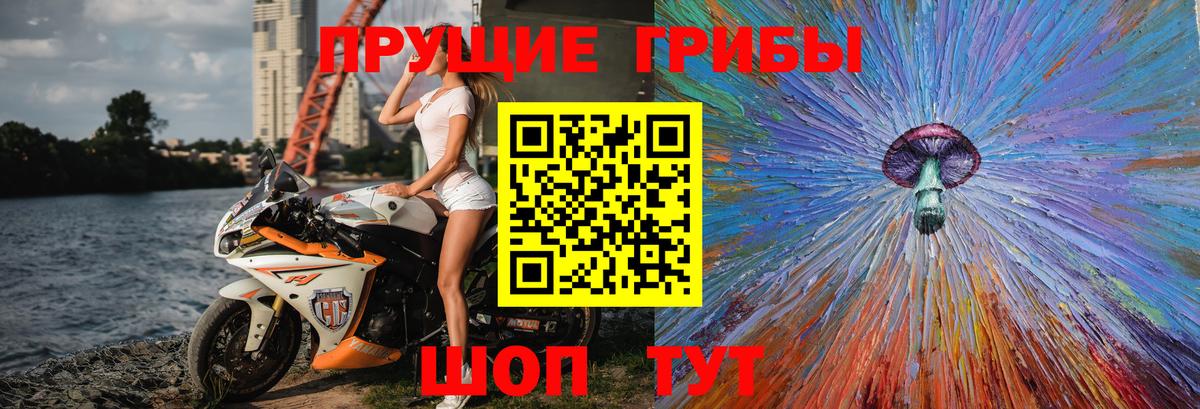 Галлюциногенные грибы Magic Shrooms Красногорск