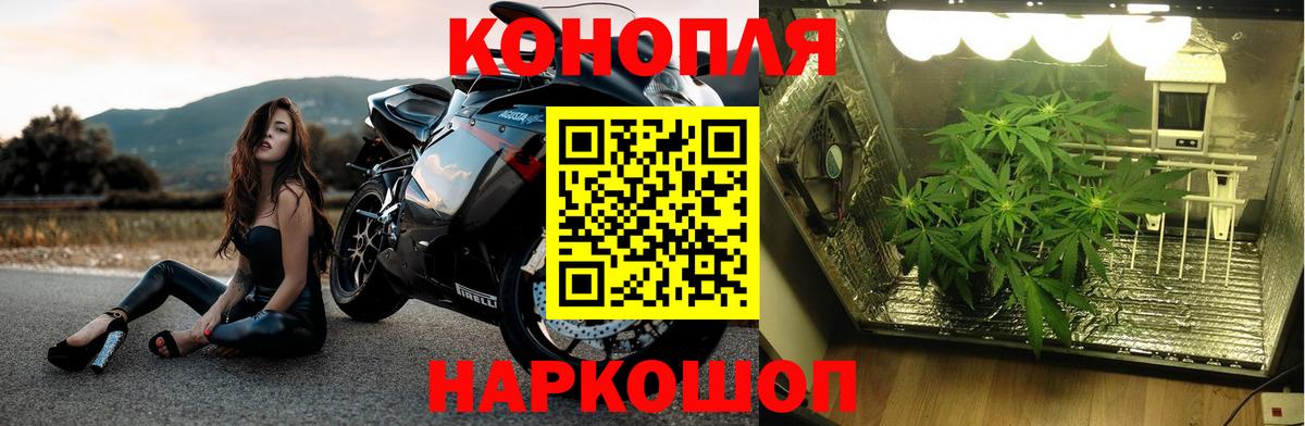 Канабис конопля  Марихуана сатива  Вход с VPN  Марихуана марихуана  Красногорск 
